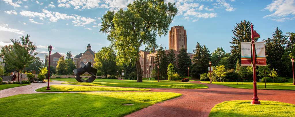 University Of Denver Library Sciences